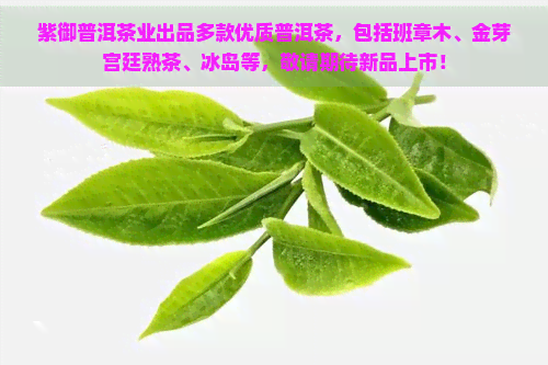 紫御普洱茶业出品多款优质普洱茶，包括班章木、金芽宫廷熟茶、冰岛等，敬请期待新品上市！