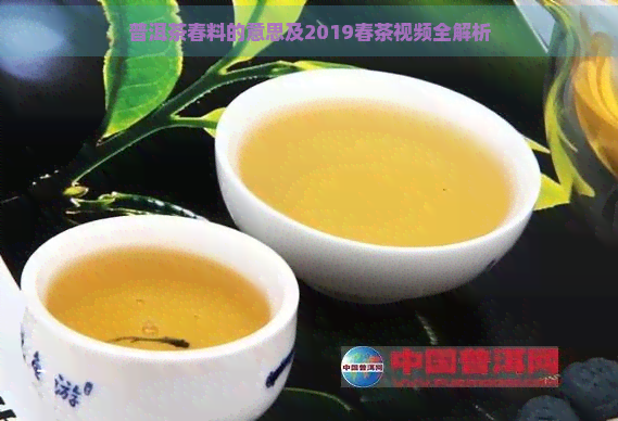 普洱茶春料的意思及2019春茶视频全解析