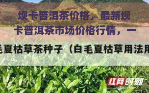 坝卡普洱茶价格，最新坝卡普洱茶市场价格行情，一文带你了解！