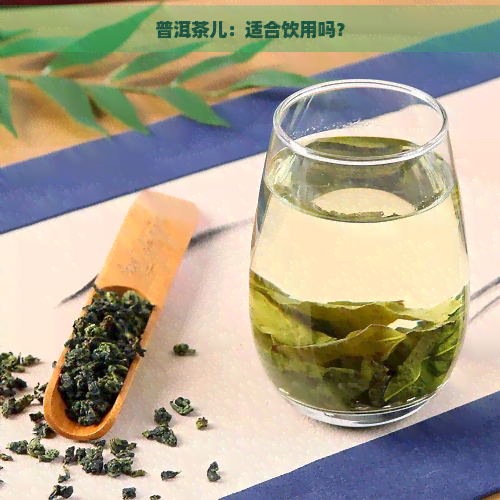 普洱茶儿：适合饮用吗？