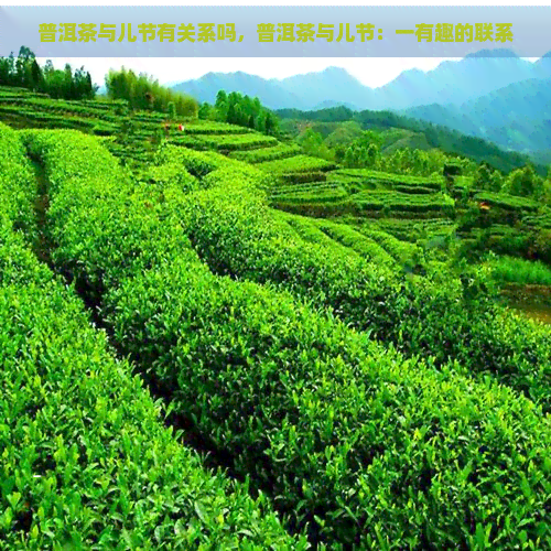 普洱茶与儿节有关系吗，普洱茶与儿节：一有趣的联系