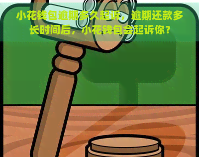 小花钱包逾期多久起诉，逾期还款多长时间后，小花钱包会起诉你？