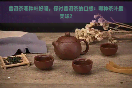 普洱茶哪种叶好喝，探讨普洱茶的口感：哪种茶叶最美味？