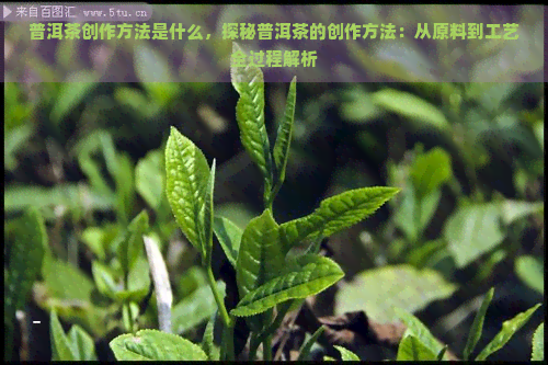 普洱茶创作方法是什么，探秘普洱茶的创作方法：从原料到工艺全过程解析