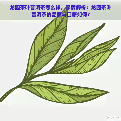 龙园茶叶普洱茶怎么样，深度解析：龙园茶叶普洱茶的品质与口感如何？