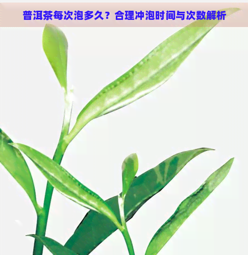 普洱茶每次泡多久？合理冲泡时间与次数解析