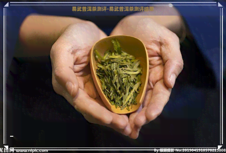 易武普洱茶测评-易武普洱茶测评结果