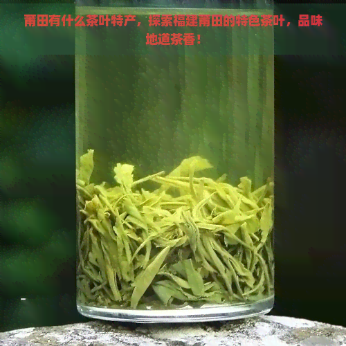 莆田有什么茶叶特产，探索福建莆田的特色茶叶，品味地道茶香！