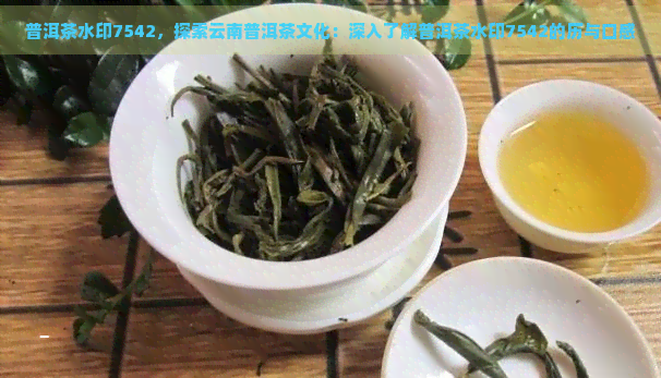 普洱茶水印7542，探索云南普洱茶文化：深入了解普洱茶水印7542的历与口感