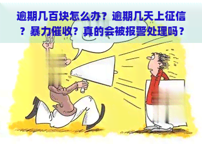 逾期几百块怎么办？逾期几天上？？真的会被报警处理吗？全解析！