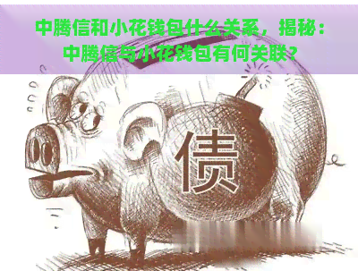 中腾信和小花钱包什么关系，揭秘：中腾信与小花钱包有何关联？