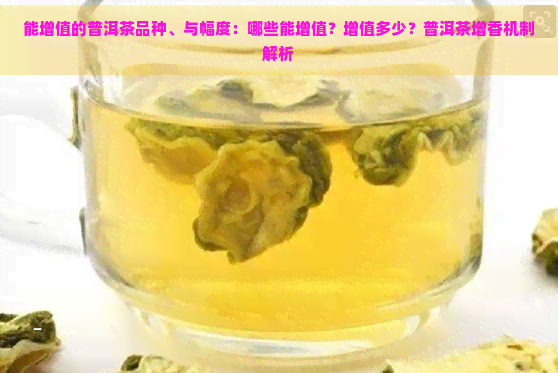 能增值的普洱茶品种、与幅度：哪些能增值？增值多少？普洱茶增香机制解析