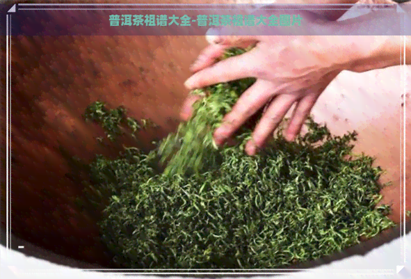 普洱茶祖谱大全-普洱茶祖谱大全图片