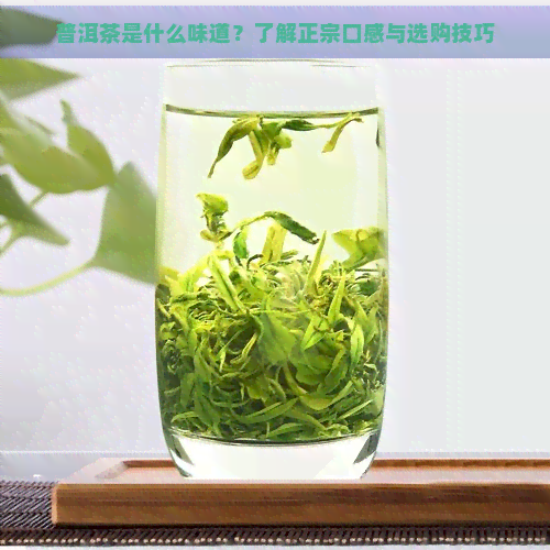 普洱茶是什么味道？了解正宗口感与选购技巧