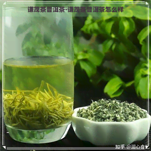 谦茂茶普洱茶-谦茂茶普洱茶怎么样