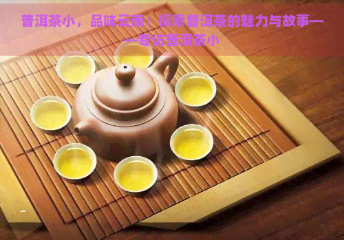 普洱茶小，品味云南：探索普洱茶的魅力与故事——专访普洱茶小