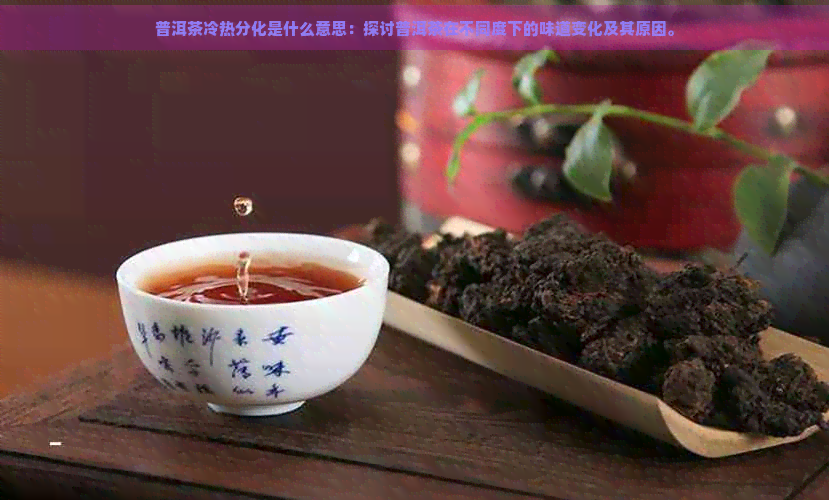 普洱茶冷热分化是什么意思：探讨普洱茶在不同度下的味道变化及其原因。