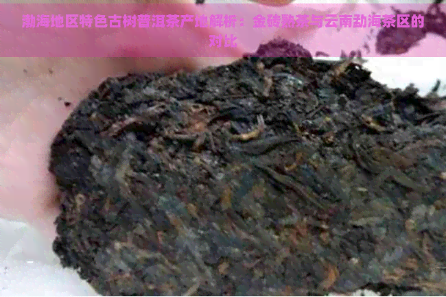 渤海地区特色古树普洱茶产地解析：金砖熟茶与云南勐海茶区的对比