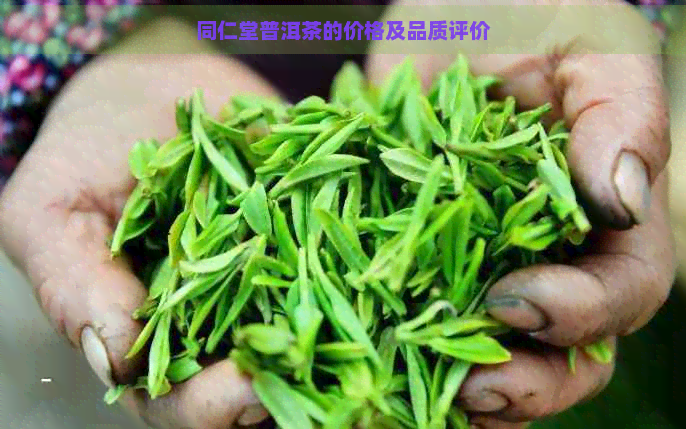 同仁堂普洱茶的价格及品质评价