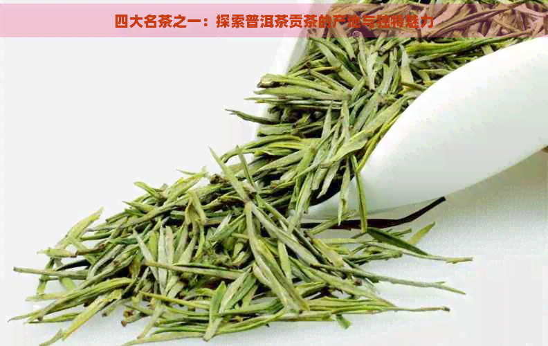 四大名茶之一：探索普洱茶贡茶的产地与独特魅力