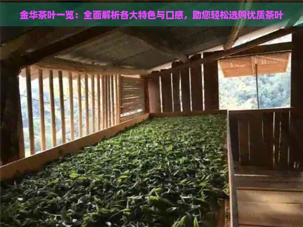 金华茶叶一览：全面解析各大特色与口感，助您轻松选购优质茶叶