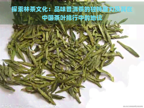 探索林茶文化：品味普洱茶的独特魅力及其在中国茶叶排行中的地位