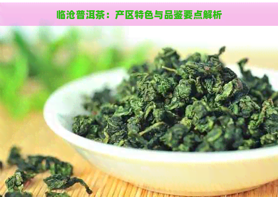 临沧普洱茶：产区特色与品鉴要点解析