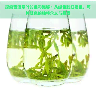 探索普洱茶叶的色彩奥秘：从绿色到红褐色，每种颜色的独特含义与品质