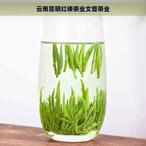 云南昆明红楼茶业文普茶业