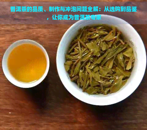 普洱茶的品质、制作与冲泡问题全解：从选购到品鉴，让你成为普洱茶专家