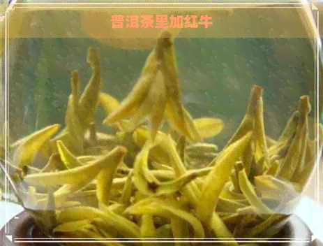 普洱茶里加红牛