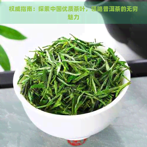 权威指南：探索中国优质茶叶，领略普洱茶的无穷魅力