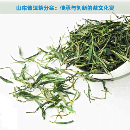 山东普洱茶分会：传承与创新的茶文化宴