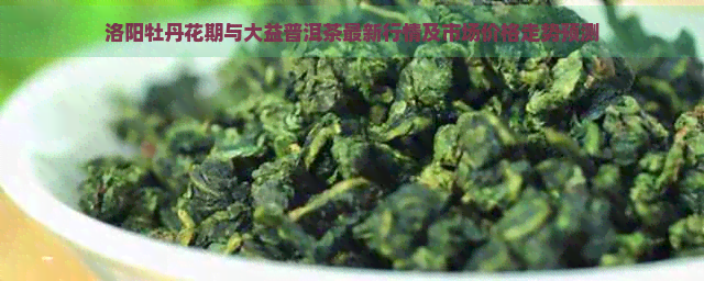 洛阳牡丹花期与大益普洱茶最新行情及市场价格走势预测