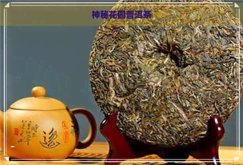 神秘花园普洱茶