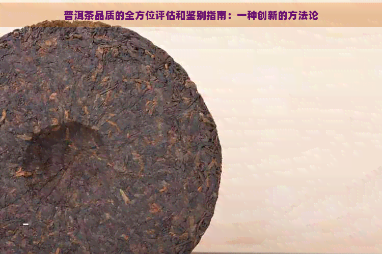 普洱茶品质的全方位评估和鉴别指南：一种创新的方法论