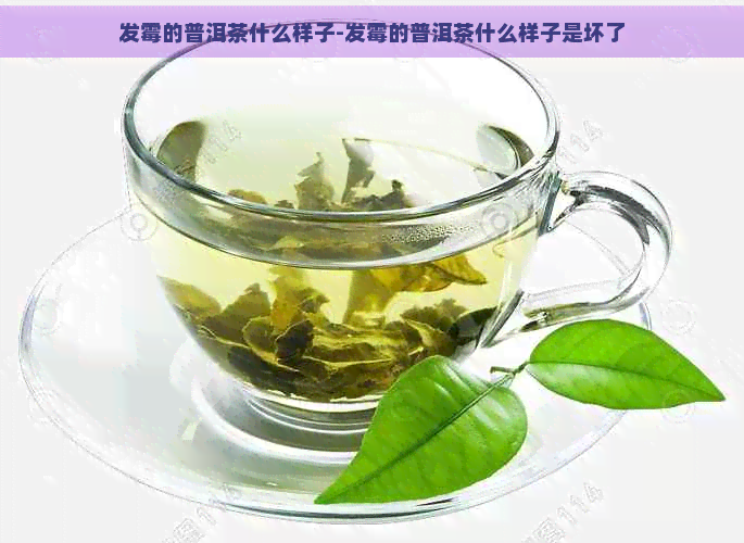 发霉的普洱茶什么样子-发霉的普洱茶什么样子是坏了