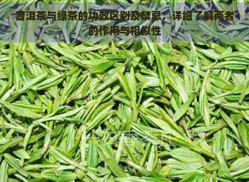 普洱茶与绿茶的功效区别及禁忌，详细了解两者的作用与相似性