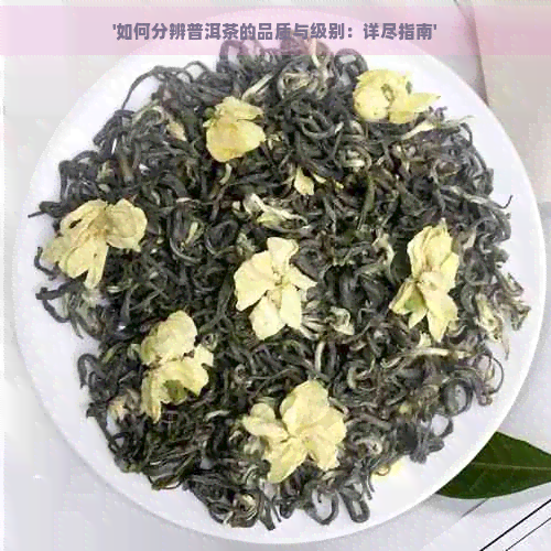 '如何分辨普洱茶的品质与级别：详尽指南'