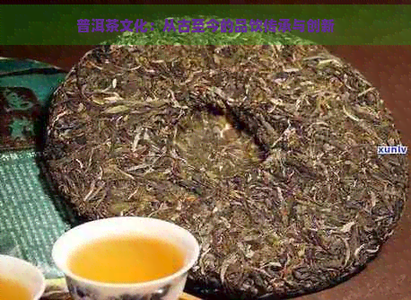 普洱茶文化：从古至今的品饮传承与创新