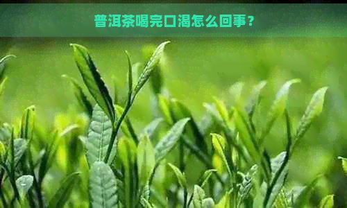 普洱茶喝完口渴怎么回事？