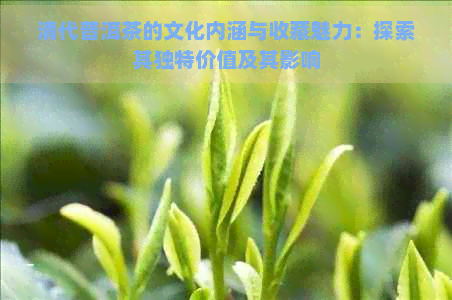 清代普洱茶的文化内涵与收藏魅力：探索其独特价值及其影响