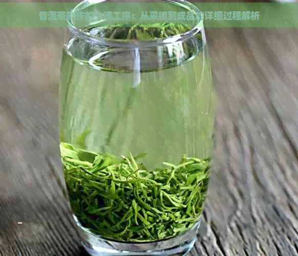 普洱茶制作的七道工序：从采摘到成品的详细过程解析