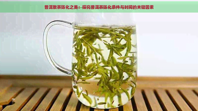 普洱散茶陈化之美：探究普洱茶陈化条件与时间的关键因素