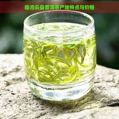 临沧云县普洱茶产地特点与价格