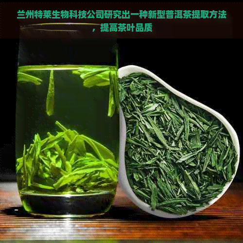 兰州特莱生物科技公司研究出一种新型普洱茶提取方法，提高茶叶品质