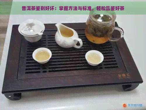 普洱茶鉴别好坏：掌握方法与标准，轻松品鉴好茶