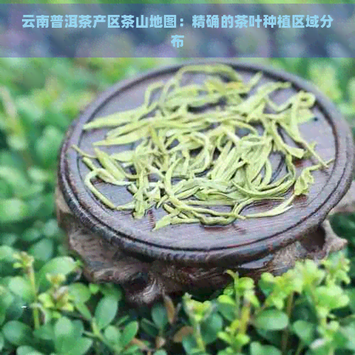 云南普洱茶产区茶山地图：精确的茶叶种植区域分布