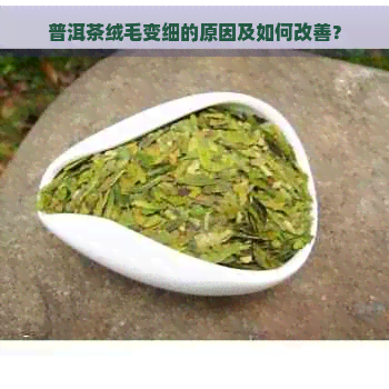 普洱茶绒毛变细的原因及如何改善？