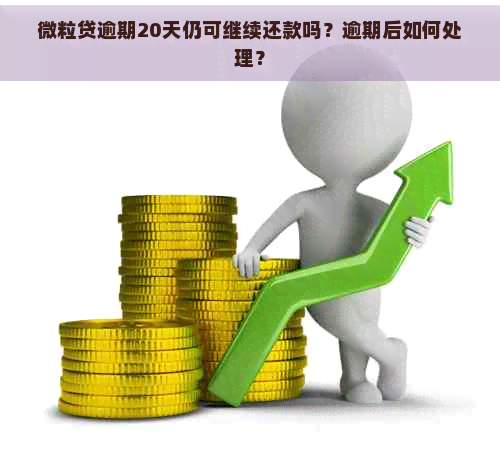 微粒贷逾期20天仍可继续还款吗？逾期后如何处理？